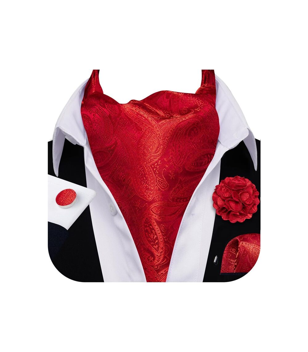 4015 Ascot Tie Cravat Paisley Red Scarf Self Ties Pocket Square Cufflinks